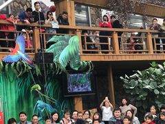 景点-南宫五洲植物乐园