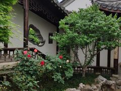 -芥子园