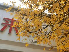 -好利来(槐中店)