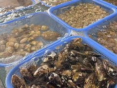 -鸿旺海鲜楼(平潭流水店)