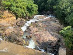 -广州白江湖森林公园