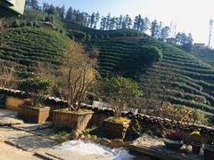 -心无尘茶餐馆(径山村店)