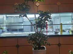 -大头唛·啫鸡煲.粤菜.专门店(289艺术园区店)