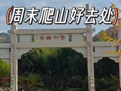 -竹子庵公园