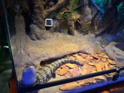 -酷嗒动物文化乐园(cutezoo西溪乐天城店)