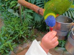 -南宫五洲植物乐园