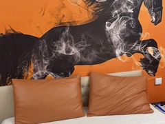 -影都会酒店式主题情侣私人影院猫舍猫咖店(中街店)