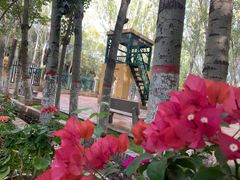 -艾提尕尔清真寺