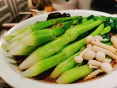 -新白鹿餐厅(松江开元地中海店)