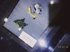 -Chanel(德基广场店)
