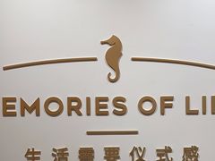 -海馬体照相馆(莘庄维璟印象城店)