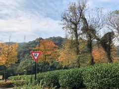 -自在弥林花园餐厅(云栖店)