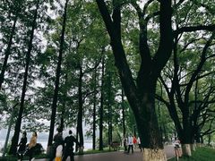 -食膳公园包子铺(烈士公园店)