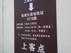 -上海鲜花港