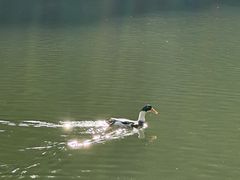 -杭州半山国家森林公园