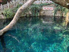 -蝴蝶泉公园