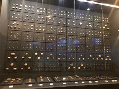 -北京周口店北京人遗址博物馆