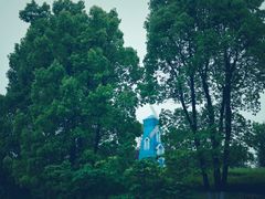 -铁山坪森林公园