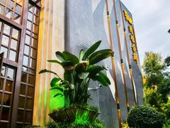 -漾亚·雍雅合鲜(桐梓林店)