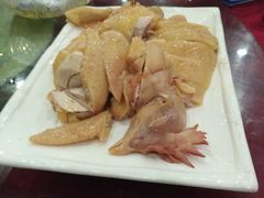 -姚林轩