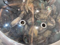 -仙螺岛海鲜自助餐厅(总店)