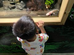 -广州长隆飞鸟乐园