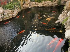 -鲤院·新中式美学·庭院餐厅(夫子庙店)