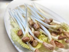 花生芽-孙毛肚火锅(春熙路店)