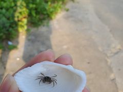 -东海岛旅游度假区