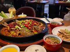 -老板恋上鱼(高新万达店)