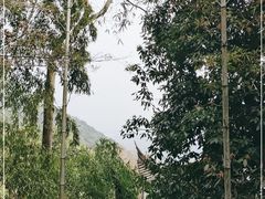 -韬光茶庵