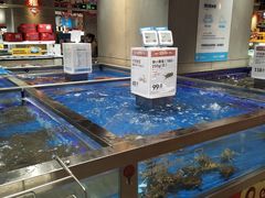 水产区-盒马鲜生(财富中心店)