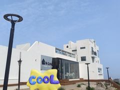 -海岛日记(养马岛店)