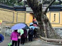 -无锡惠山寺