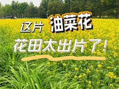 -北坞公园