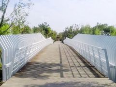 -南翔镇银翔湖公园