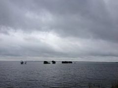 -湖南东洞庭湖国家级自然保护区