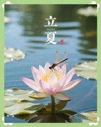 -雅曼妮spa美容养生