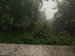 -九华山友谊土菜馆 小资餐厅