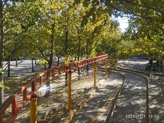 游乐设施-朝阳公园游乐园