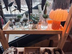 -一尺花园(首钢店)