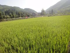 -毛泽东同志旧居