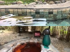 -森波拉火山温泉