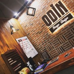 -ODIN 奥丁形象设计 