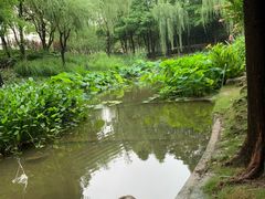 -陈家山荷花公园