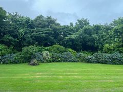 -济州森林小火车生态公园