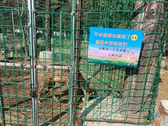 -观唐（国际）度假村温泉