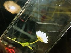 -Summer House夏莫手工坊团建活动(世博源店)