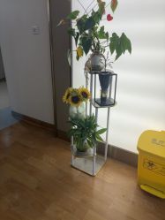 -杭州海亮医院 · 禾芸嘉医美中心