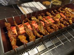 -邢氏老太太烤串(北兴街店)
